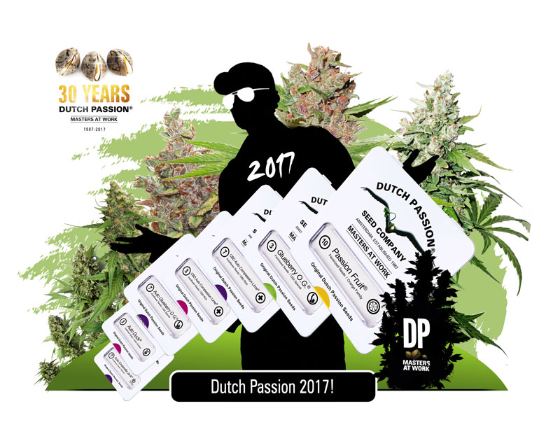 novinky dutch pssion 2017